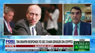 SEC Chair Gary Gensler is damaging our country: Tim Draper - Fox Business Video