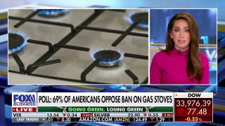 Gas stove ban would face 'severe pushback': Lydia Hu - Fox Business Video